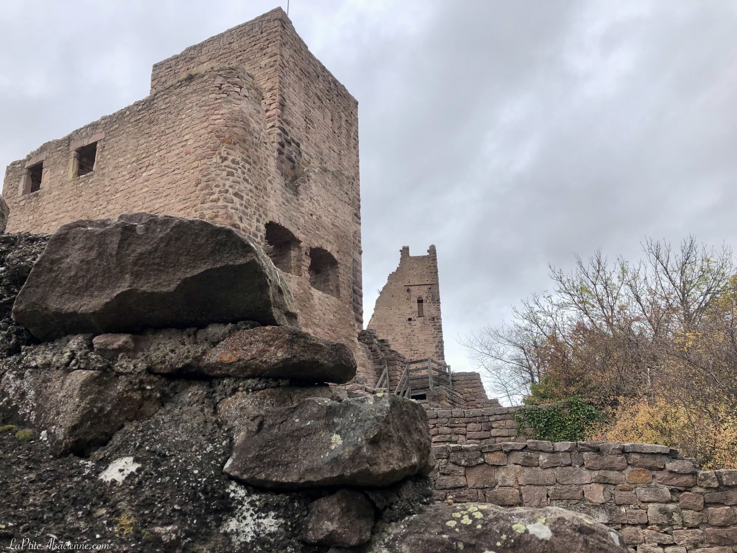 La ruine du Wahlenbourg et un bout du Dagsbourg - 3 châteaux d'Eguisheim - Photo Cendrine Miesch pour l'article sur les châteaux forts en Alsace