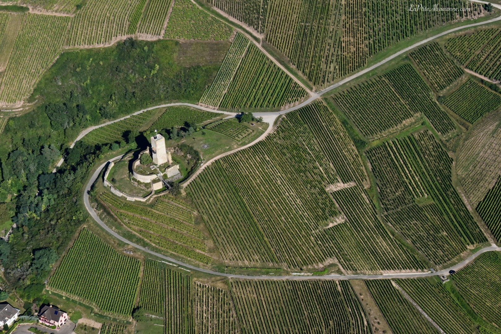 Ruine du Wineck à Katzenthal vue du ciel Par Cendrine Miesch dite LaPtiteAlsacienne pour l'article sur les châteaux forts en Alsace