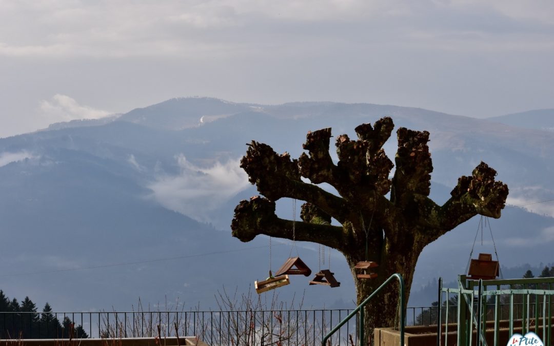 Vue du jardin sur les montagnes au centre communautaire du Hohrodberg - Photo de Cendrine Miesch