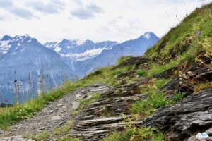 Sentier menant du First au Waldspitz