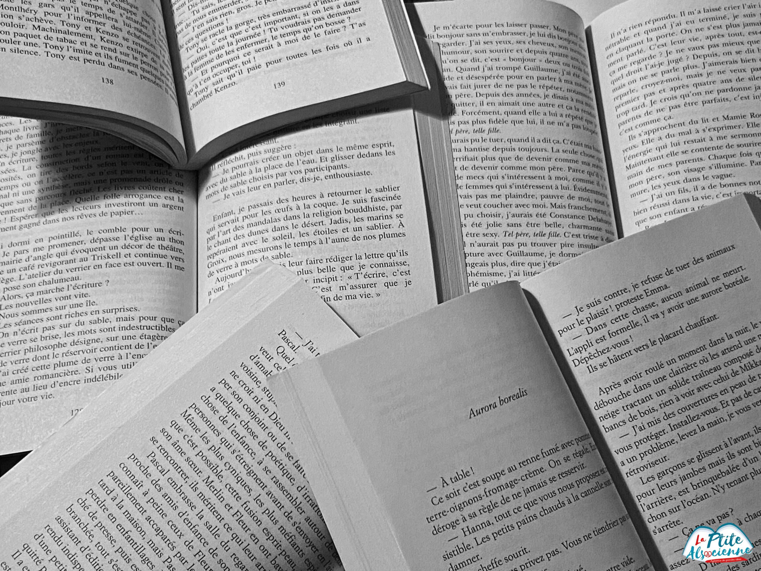 Livres ouvert, pour faire la couverture de cette lecture. L'écriture est une île, de Lorraine FOUCHET